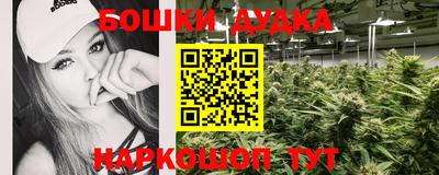 индика Будённовск