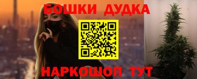 индика Будённовск
